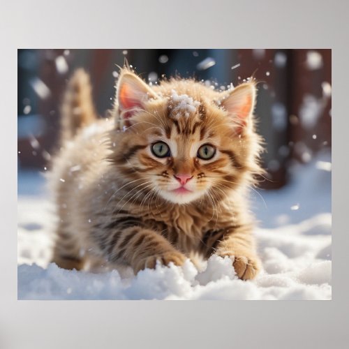  Making Snow Ball Kitty 54  Kitten Cat AP68 Poster