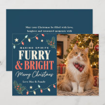Making Spirits Furry & Bright Cat Christmas