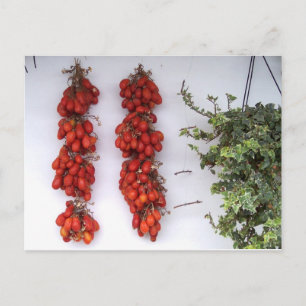 Making Sun Dried Tomatoes Postcard