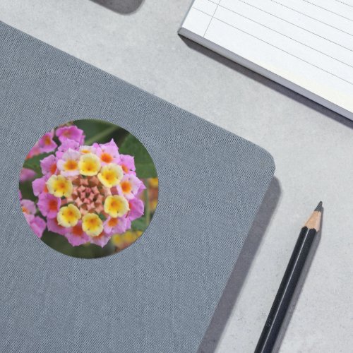 Makro Pink and Yellow Lantana Flower Classic Round Sticker