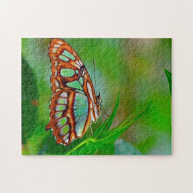 Malachite Butterfly. Jigsaw Puzzle (Horizontal)