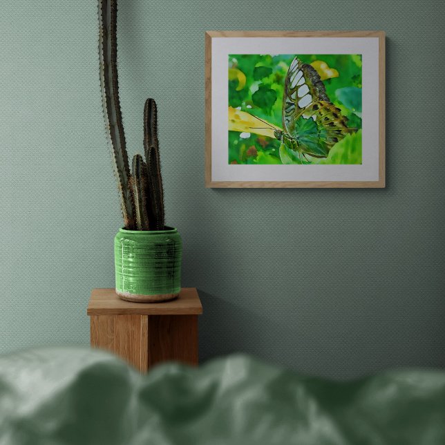 Malachite Butterfly on Green Leaf Photo Print (Creator Uploaded)