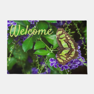 Malachite butterfly on purple flower doormat