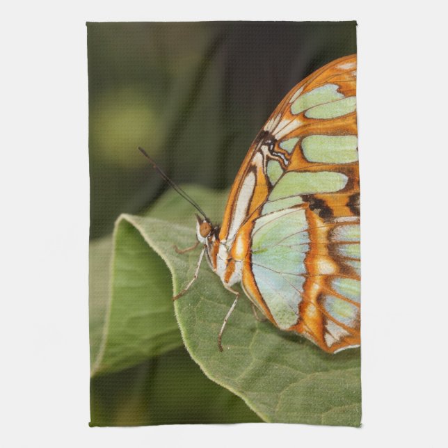 Malachite Butterfly Perched on a leaf Kitchen Towel (Vertical)