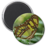 Malachite Butterfly Round Magnet