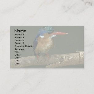Malachite Kingfisher Business Card