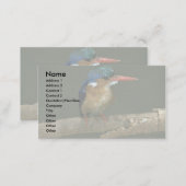 Malachite Kingfisher Business Card (Front/Back)