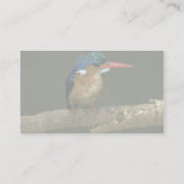 Malachite Kingfisher Business Card (Back)