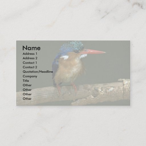 Customizable Malachite Kingfisher Business Card Template