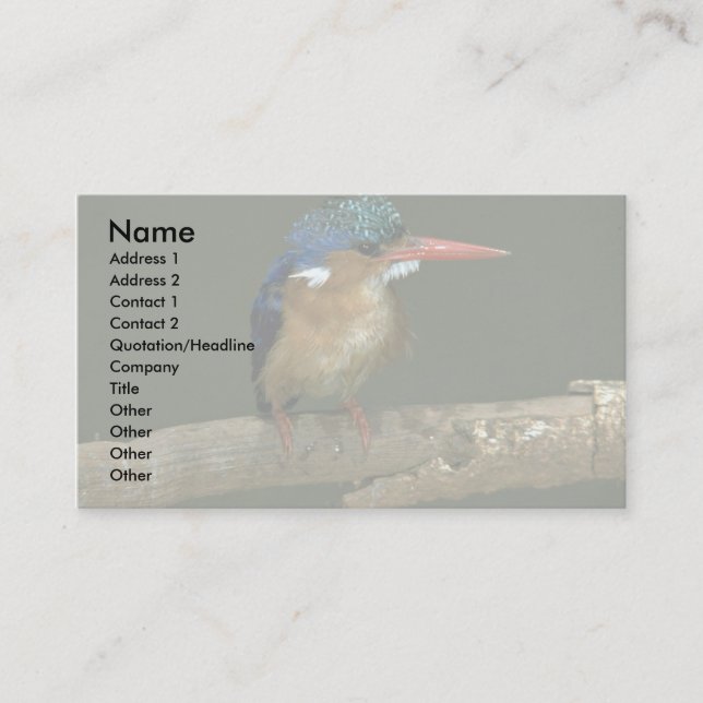 Malachite Kingfisher Business Card (Front)