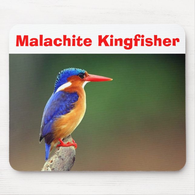 Malachite Kingfisher, Malachite Kingfisher Mouse Pad (Front)
