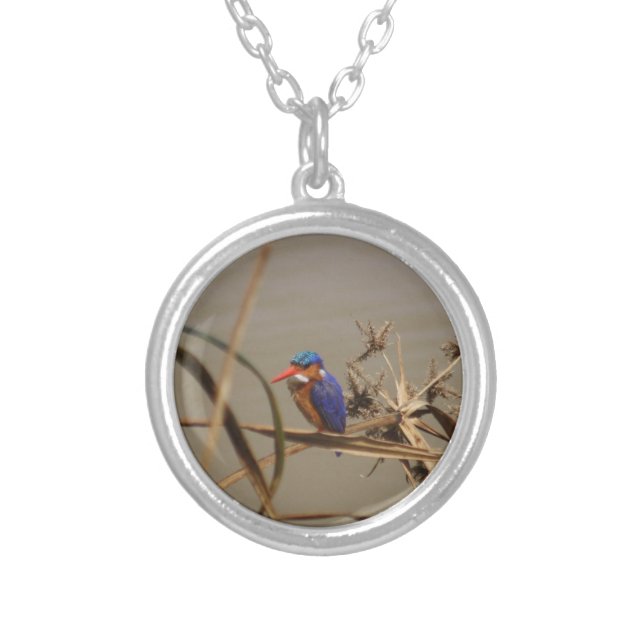 Malachite Kingfisher Silver Plated Necklace (Front)