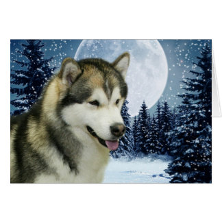 Malamute Cards