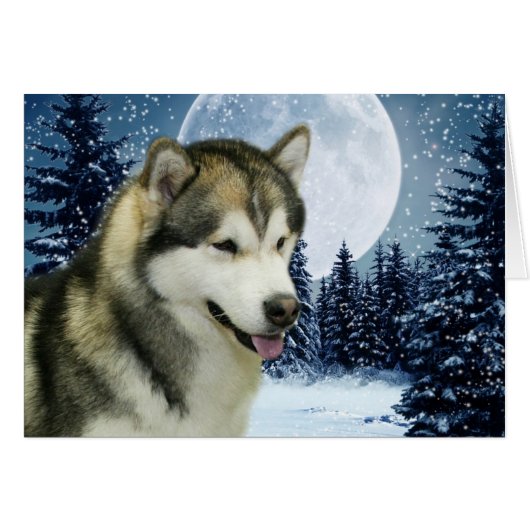 Malamute Cards (Front Horizontal)