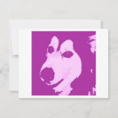 Malamute Dog (Front)