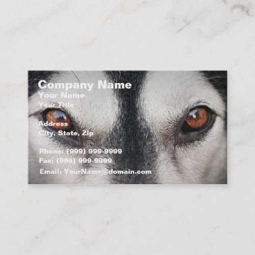 Malamute Dog Brown Eyes Business Cards
