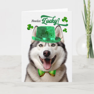Malamute Dog Feelin' Lucky St Patrick's Day Holiday Card