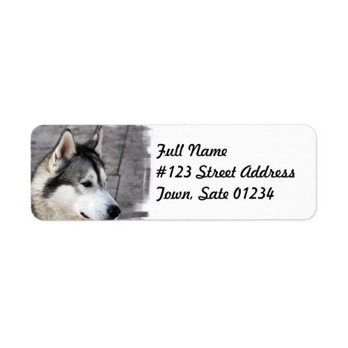 Malamute Dog Mailing Label