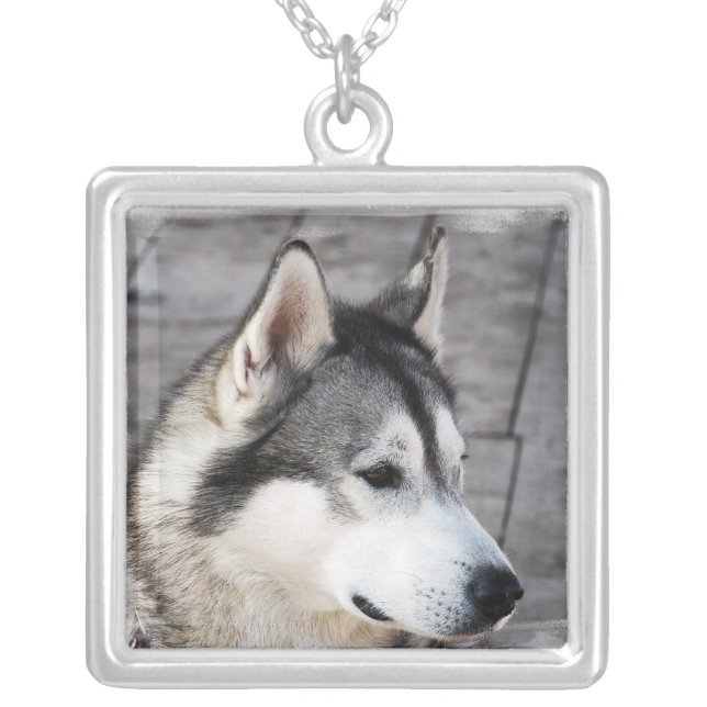 Malamute Dog Necklace (Front)
