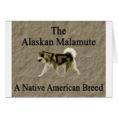 Malamute- Native Breed copy (Front Horizontal)