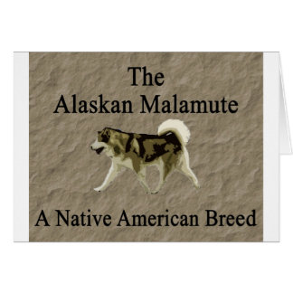 Malamute- Native Breed copy Cards