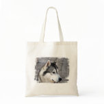 Malamute Photo Small Canvas Bag
