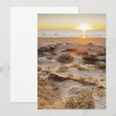 Malaquite Beach Sand Dunes (Front/Back)