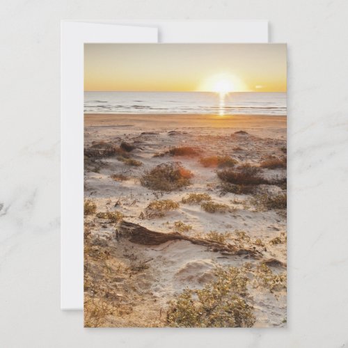 Malaquite Beach Sand Dunes Announcement