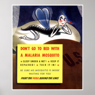 Malaria Mosquito -- Border Poster