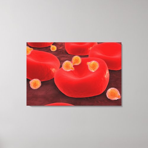 Malaria Parasites Within Red Blood Cells Canvas Print