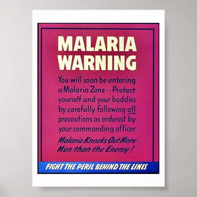 Malaria Warning Poster (Front)