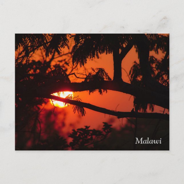 Malawi , Africa Sunset Postcard (Front)