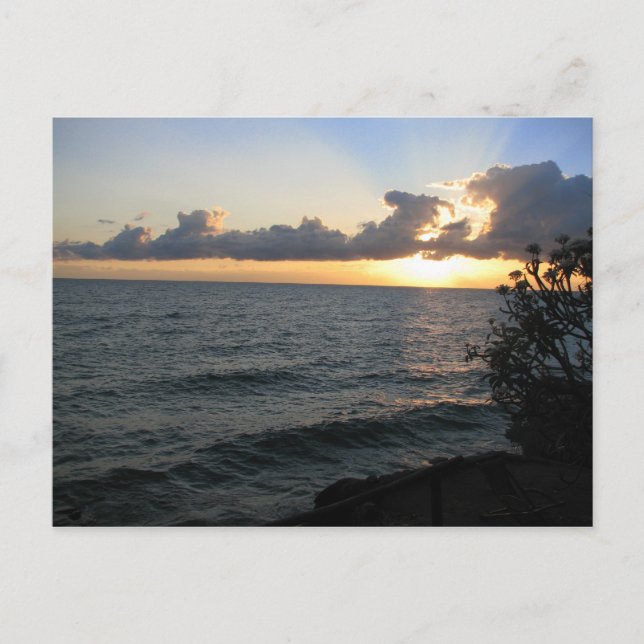 Malawi Sunrise Postcard (Front)