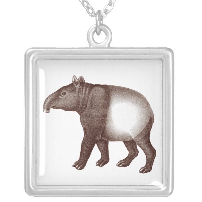 Malay or Asian Tapir from an Antique Engraving Silver Plated Necklace (Front)