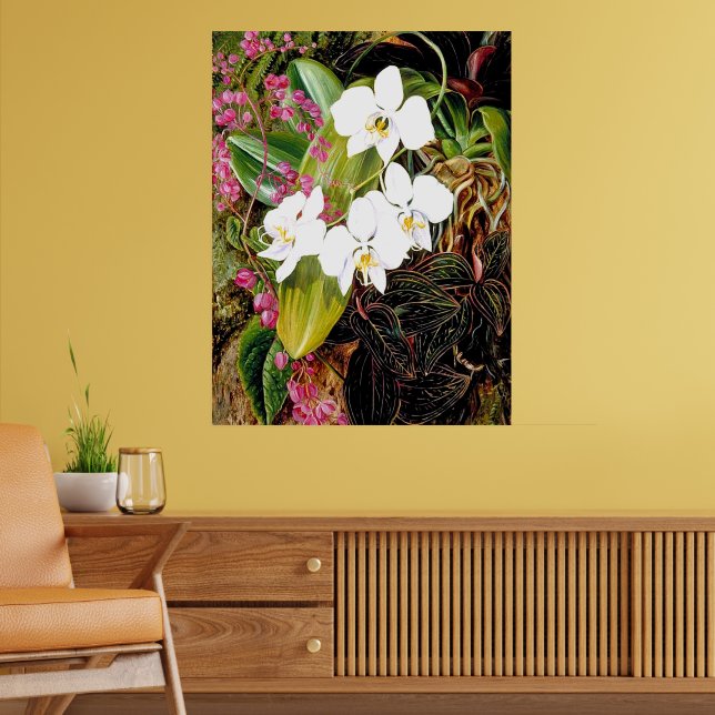 Malayan Moth Orchid and an American Climber Poster (Living Room 2)