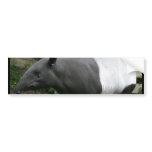 Malayan Tapir Bumper Sticker