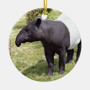 Malayan tapir on grass ceramic ornament