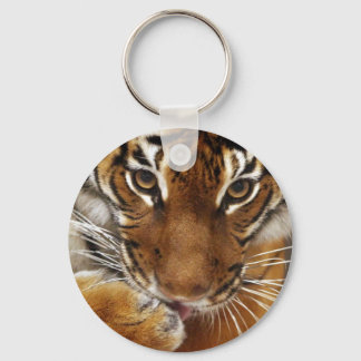 Malayan Tiger #1 keychain