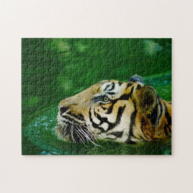 Malayan Tiger Big Cats. Jigsaw Puzzle (Horizontal)