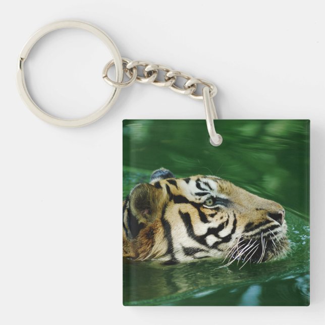 Malayan Tiger Swimming Headshot Keychain (Front)