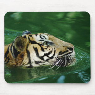 Malayan Tiger Swimming Headshot Mouse Pad