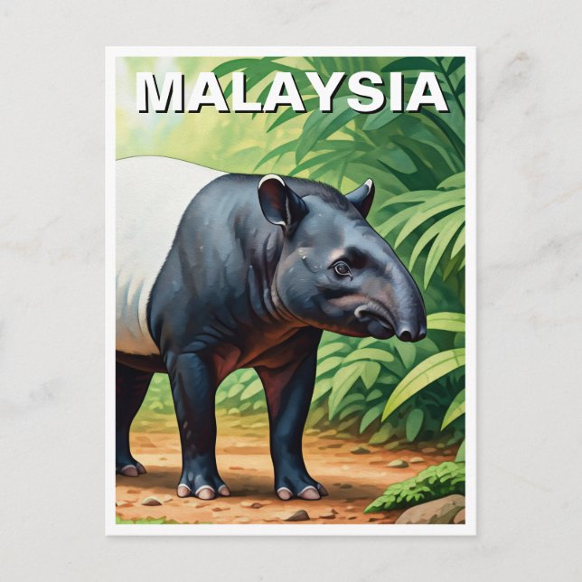 Malaysia Malayan Tapir Postcard (Front)