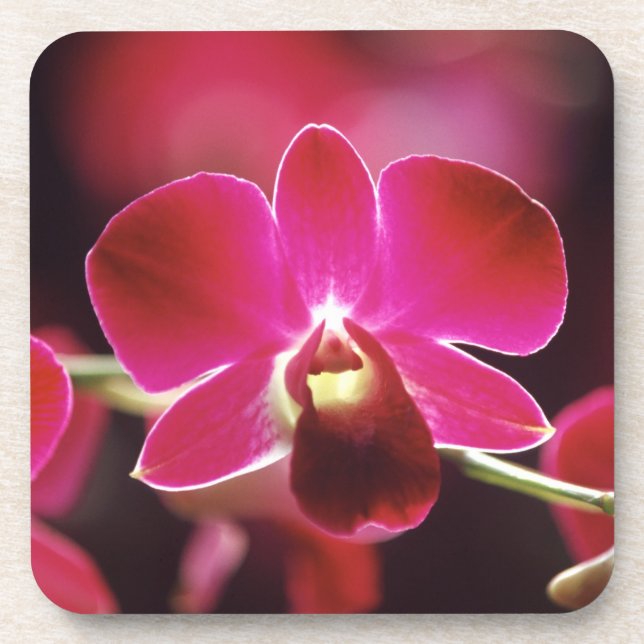 Malaysia, Orchid Drink Coaster (Front)