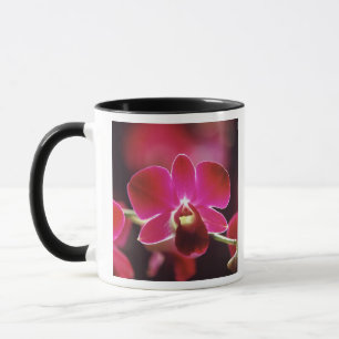 Malaysia, Orchid Mug