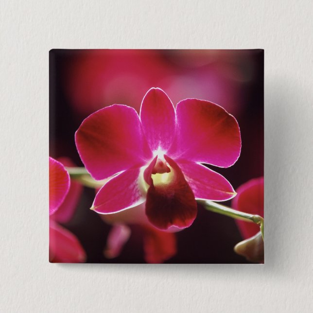 Malaysia, Orchid Pinback Button (Front)