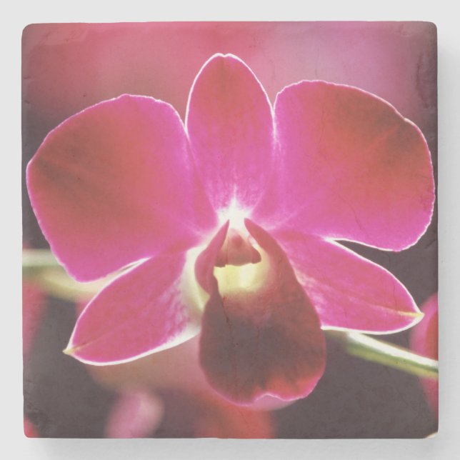 Malaysia, Orchid Stone Coaster (Front)
