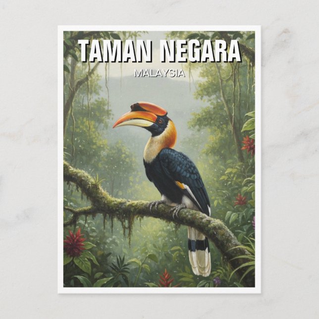 Malaysia Taman Negara Hornbill Postcard (Front)