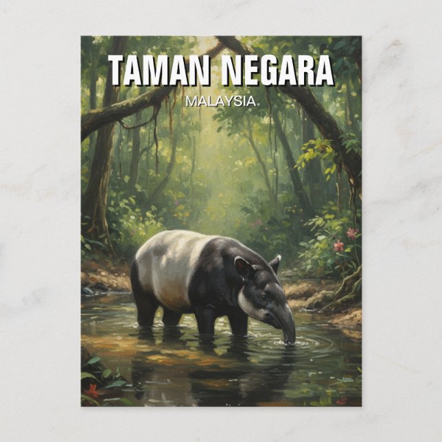 Malaysia Taman Negara Malayan Tapir Postcard (Front)