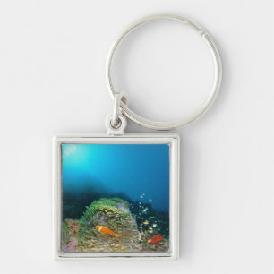 Maldives Anemone fish swimming underwater Keychain