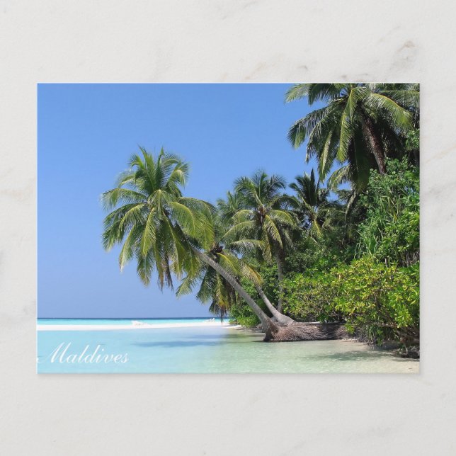 Maldives - Athuruga island postcard (Front)